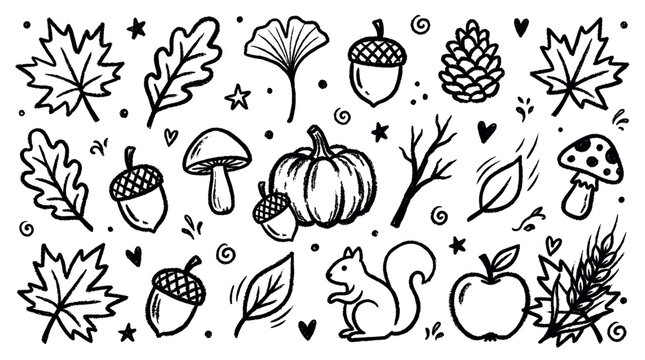 Charming collection of hand-drawn autumn elements, including leaves, acorns, pumpkins, and a squirrel, rendered in a whimsical black and white doodle style