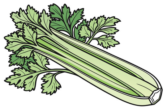 A vibrant green celery stalk with leaves, presented in a colorful vector illustration style with bold lines and shading, highlighting its fresh and healthy appearance.