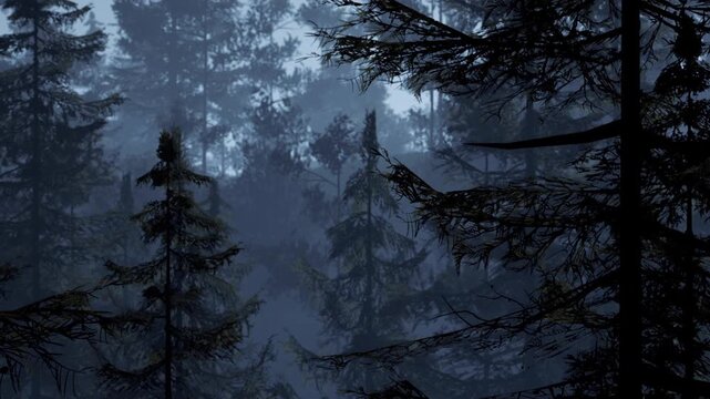 Tall trees fill the frame in a misty forest during early morning. The fog creates a mysterious look, and the light is dim. Leaves and branches are visible in the foreground.