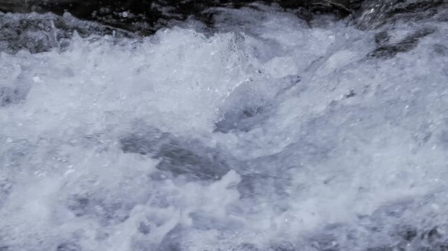 日本の清流を流れる透き通った水の流れのスローモーション素材