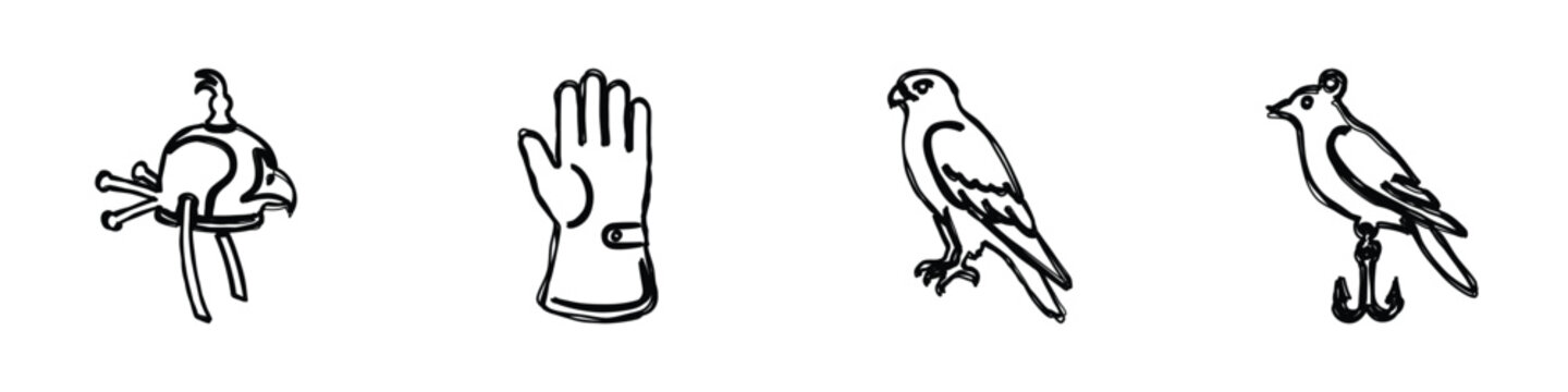 A collection of simple line drawings representing falconry tools and birds, including a hood, glove, and raptors
