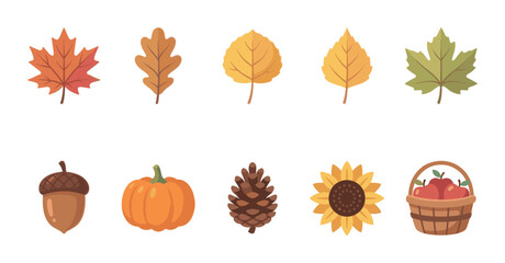 Fototapeta premium Various colorful autumn leaves, a pumpkin, acorn, pinecone, sunflower, and apple basket are arranged on a clean white background
