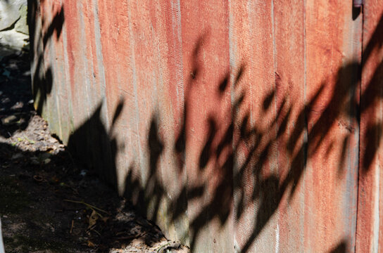 Dramatic dark shadows from tree leaves and branches cast on an old corrugated rusty red iron fence in a sunny garden during a hot summer day.