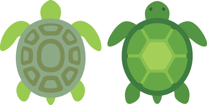 Two green turtles top view flat vector illustration on white background