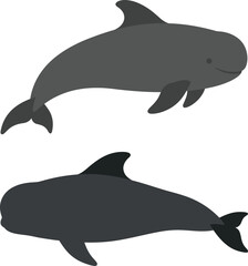 Fototapeta premium Two gray dolphin illustrations on a white background marine animal vector graphics