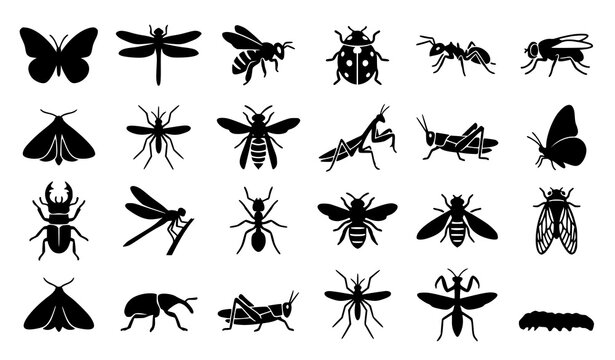 Insect Silhouette Icon Set with Butterflies Bees Beetles and Flying Bugs Vector Collection