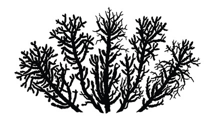 Black coral silhouette on white background © Minal