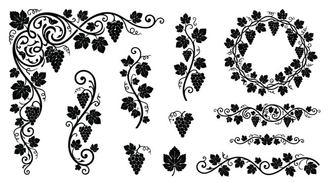 Black grapevine illustrations set