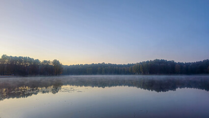 Fototapeta premium Tranquil lake surrounded by lush forest on a sunny afternoon