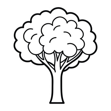 Stylized Tree Vector Outline Illustration