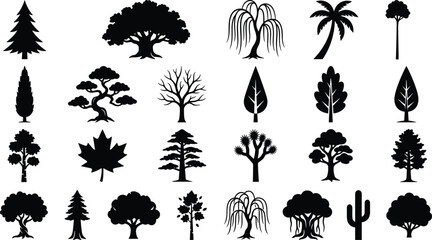 Fototapeta premium Mixed Tree Silhouette Collection Featuring Evergreen Deciduous Tropical Desert and Ornamental Trees for Nature Landscape Garden Black Vector Illustration Set