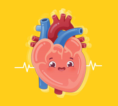 Cute cartoon human heart with a normal heartbeat line representing healthy cardiovascular function. Healthy heart, Happy heart cartoon