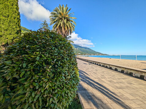 A summer day at the Caucasian resort in Abkhazia
