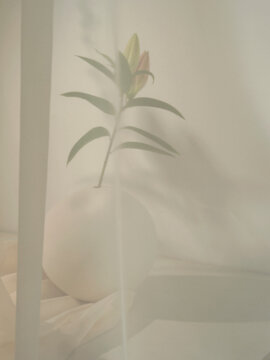Wedding white stilleben with flower and shadows in a nordic dusty environment	