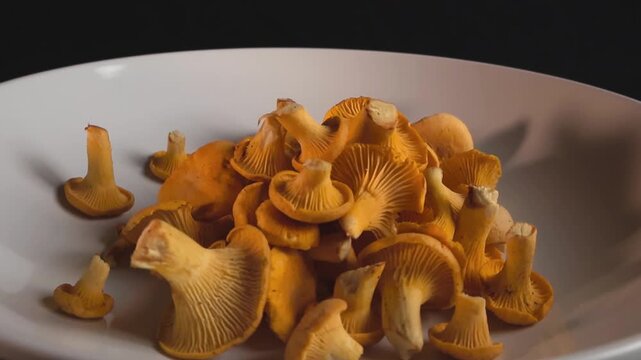Golden chanterelle mushrooms, freshly picked from the forest, are presented on a white plate against a black background, with the camera orbiting around them in a gentle, continuous motion