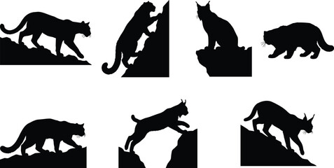 Wild Cat Silhouette Collection with Lynx, Bobcat, and Mountain Cat Wildlife Poses © MSTALIFNUR