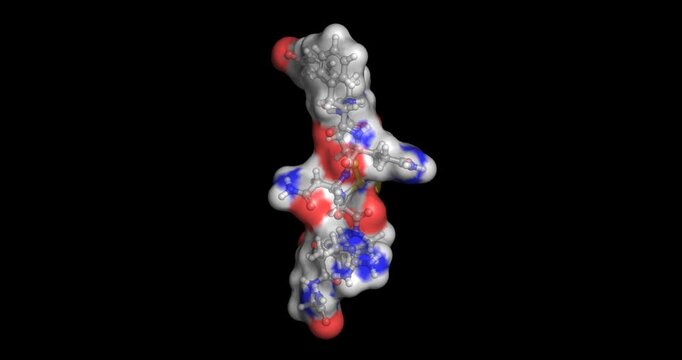 Desmopressin, antidiuretic and clotting regulation, drug, 3D molecule 4K spinning