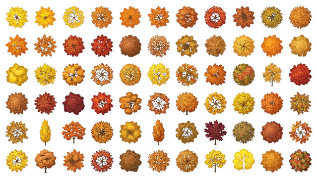 Autumn Fall Tree Symbols Set with Colorful Foliage for Architectural Plans
