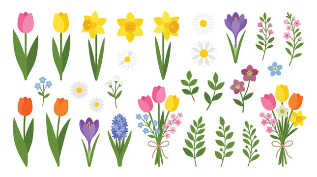 Colorful spring flowers isolated on white background