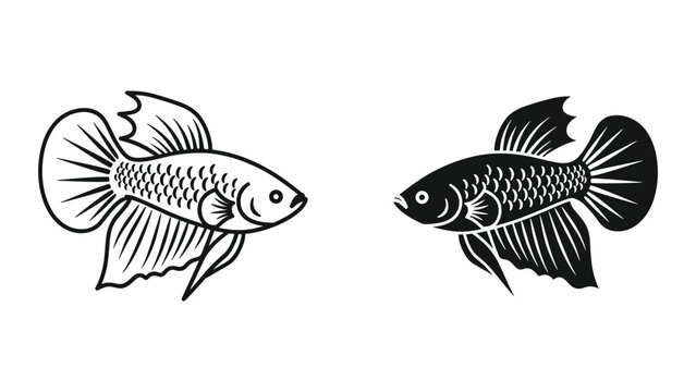 Set of two betta fish illustrations, one outline and one silhouette style, isolated on white background