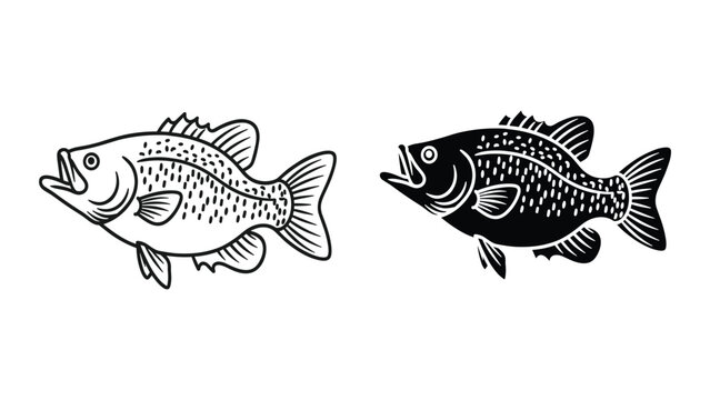 Black and white illustration of a crappie fish, vector graphic design element isolated on white background