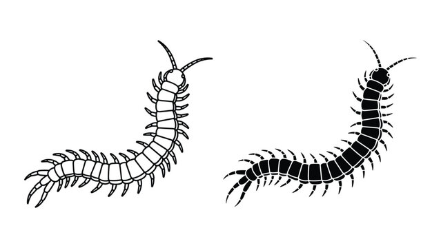 Set of centipede icons, black and white vector illustration of a long insect with many legs