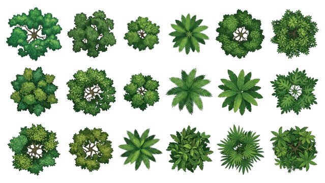 Top View Architectural Green Trees and Palms Vector Set for Plan Renderings