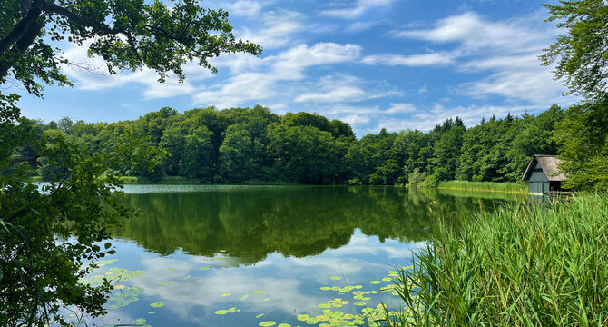 house with thatched roof by a beautiful idyllic lake in the forest