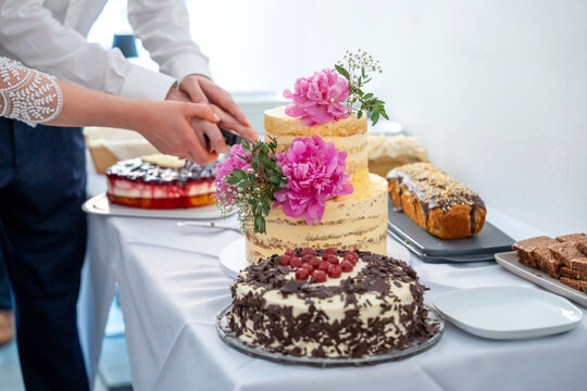 Wedding couple cutting rustic tiered cake decorated with pink flowers during celebration reception