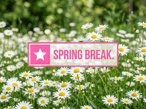 Field of daisies with a "Spring Break" sign, representing relaxation and renewal during the warmer seasons.