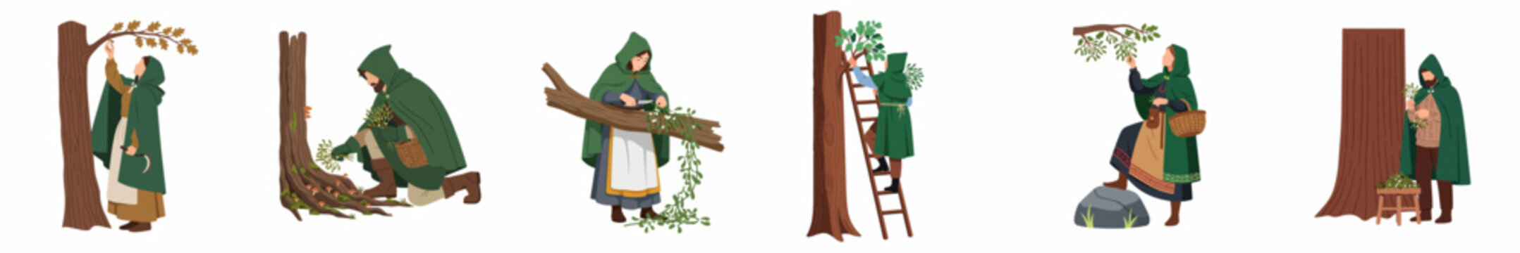 Collection of medieval herbalists and druids in green hooded cloaks harvesting mistletoe and plants in the forest, flat vector illustration.