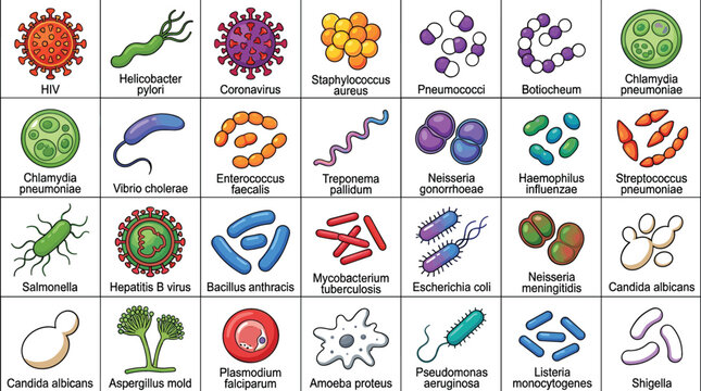 Microbiology Vector Icon Set Featuring Pathogenic Bacteria Viruses Fungi And Parasites For Medical Education Healthcare Science And Infographic Graphic Designs