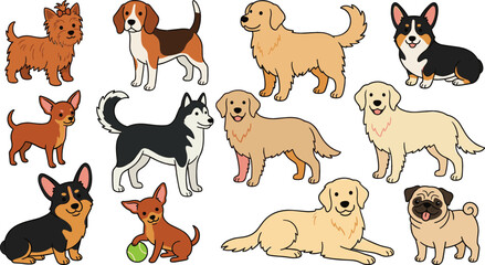 Cute Dog Breed Vector Illustration Set Featuring Popular Puppies Like Golden Retriever Husky Corgi Beagle Pug And Chihuahua Cartoon Graphic Designs © Nayem