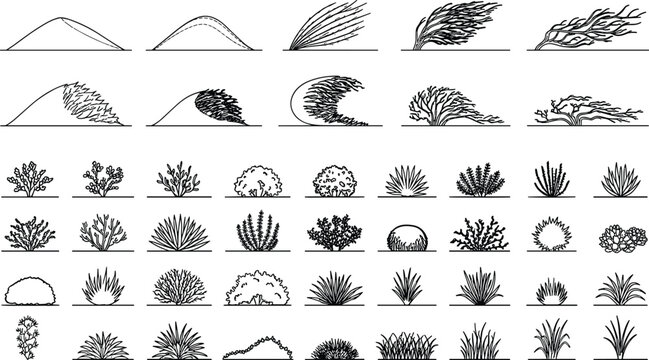 WebCollection of desert dunes windswept shrubs and ornamental grasses line art outline vector illustration set