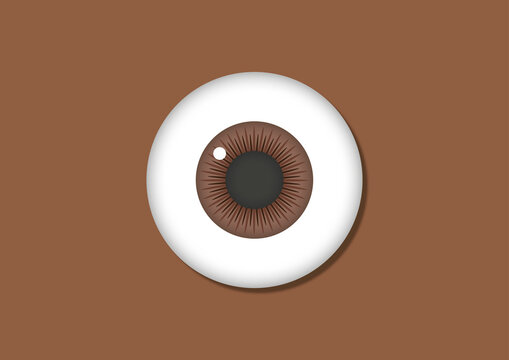 Eye, illustration
