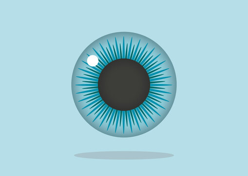 Iris and pupil, illustration