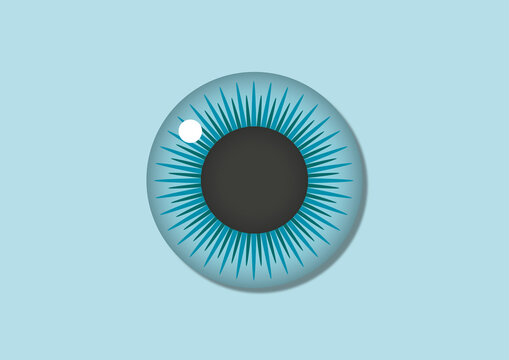 Iris and pupil, illustration