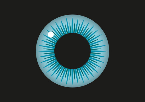 Iris and pupil, illustration