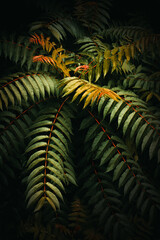 Obraz premium Close-up of lush green leaves illuminated by soft directional light against a dark background. Exotic plant texture ideal for nature and environmental themes.