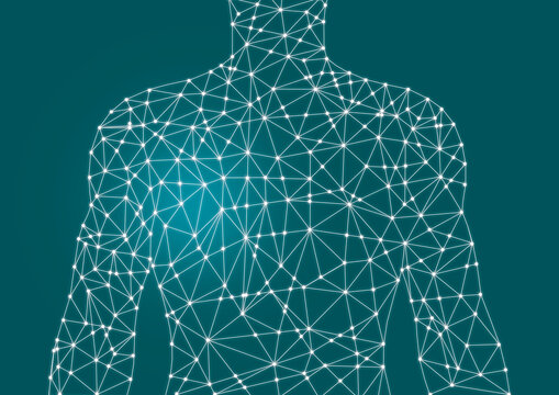 Nervous system, conceptual illustration