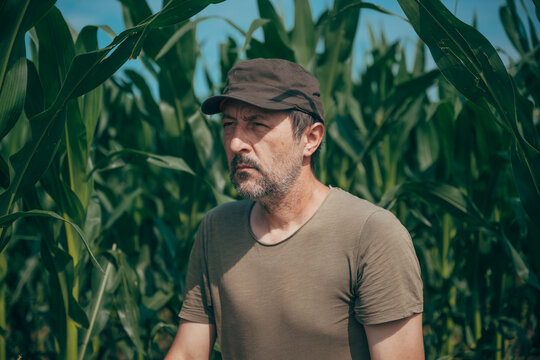 Portrait of a farmer standing in a green cornfield during the growing season. Agriculture, crop production, rural life and farming concept.