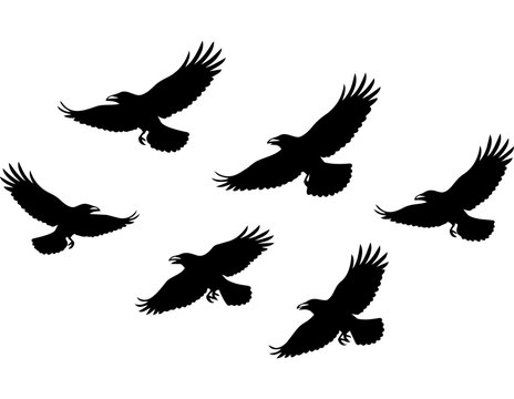 CROWS FLYING SILHOUETTE