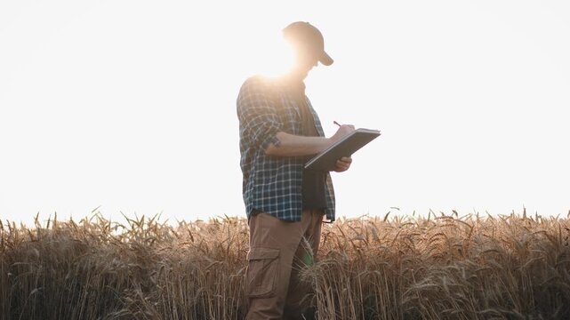 Adult farmer making notes in a notebook while standing in the middle of a ripe wheat field, capturing agricultural planning, crop inspection and modern farming.