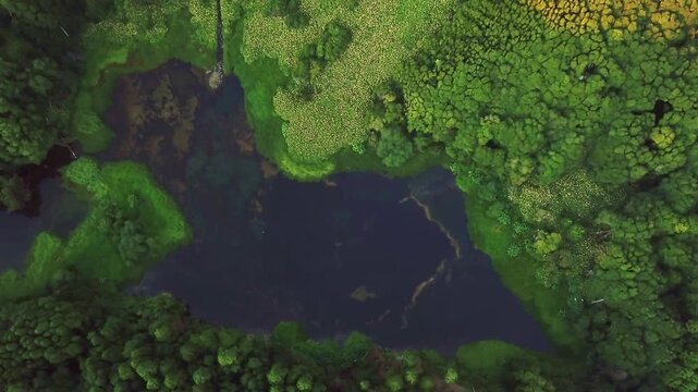 Bird's-eye over dark reflecting pool ringed by lush walls mood shot for climate storytelling, Flores, Azores