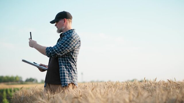 Farmer inspecting a ripe wheat field while using a smartphone and taking notes in a notebook, capturing modern agriculture, crop monitoring and farm management.