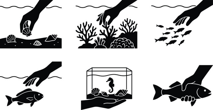 Marine wildlife protection guidelines silhouette icons showing human hands touching fish coral reefs and catching seahorse vector