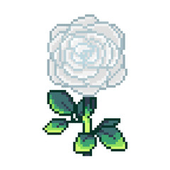Obraz premium white rose pixel art