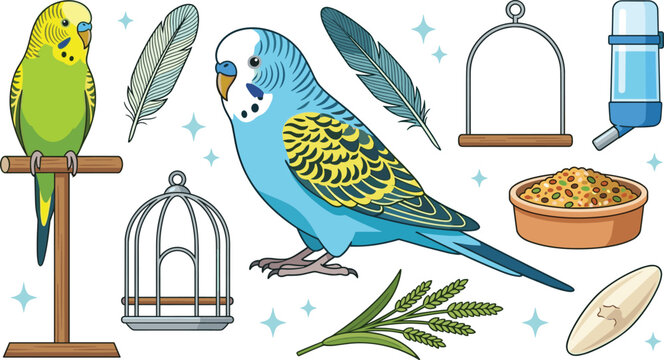 Colorful Budgerigar Bird Collection Featuring Parakeets Feathers Cages Perches Food Water and Pet Care Accessories