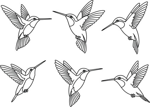 Hummingbird flying line art icons vector set, minimalist colibri outline silhouettes, delicate wild bird tattoo illustrations