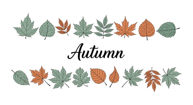 Elegantly hand-drawn autumn leaves in rows surrounding the word Autumn in a stylish calligraphy script font.